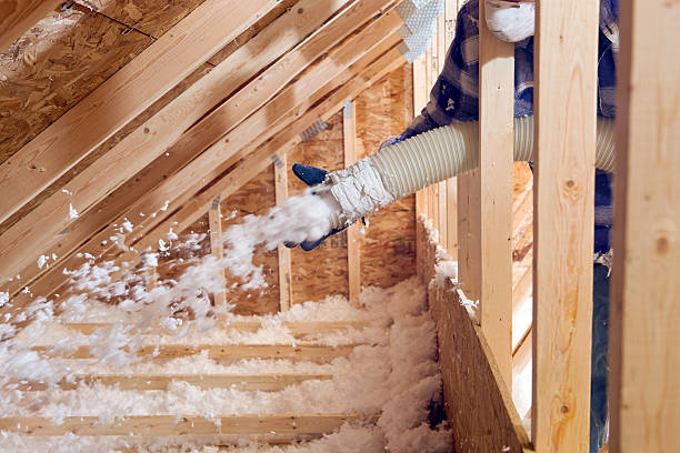 Best Basement Insulation  in Alma, MI